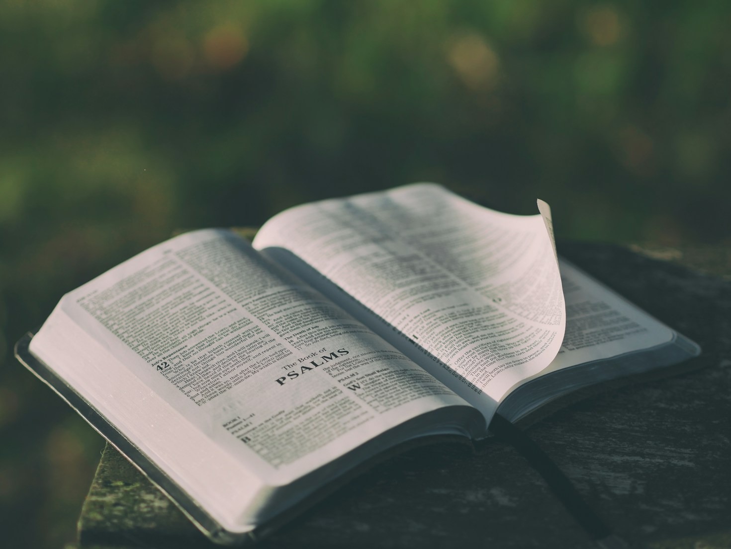 Jesus: um guia eterno para a humanidade